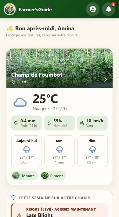 Écran d'accueil de Farmer'sGuide : météo du champ, prévisions sur 3 jours et risque de maladie pour un champ de tomates et de piment à Foumbot